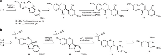 Fig. 2