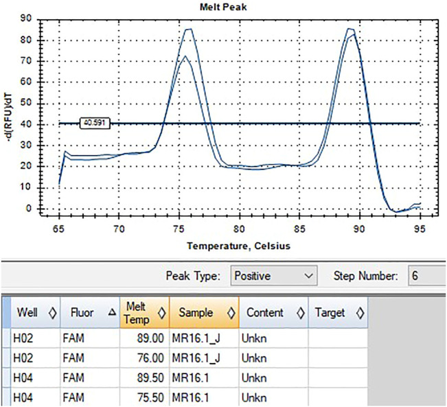 FIGURE 3