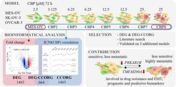 graphic file with name 41416_2023_2140_Figa_HTML.jpg