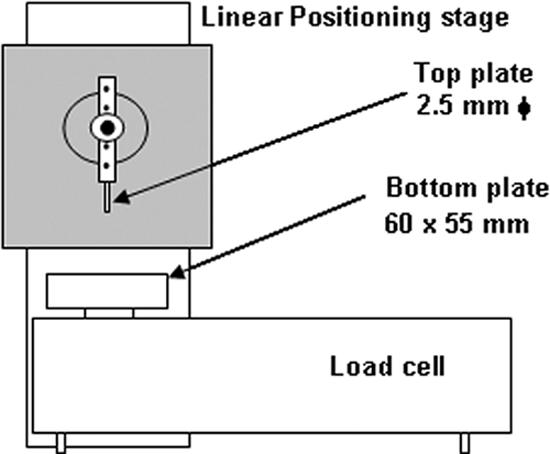 FIG. 1.