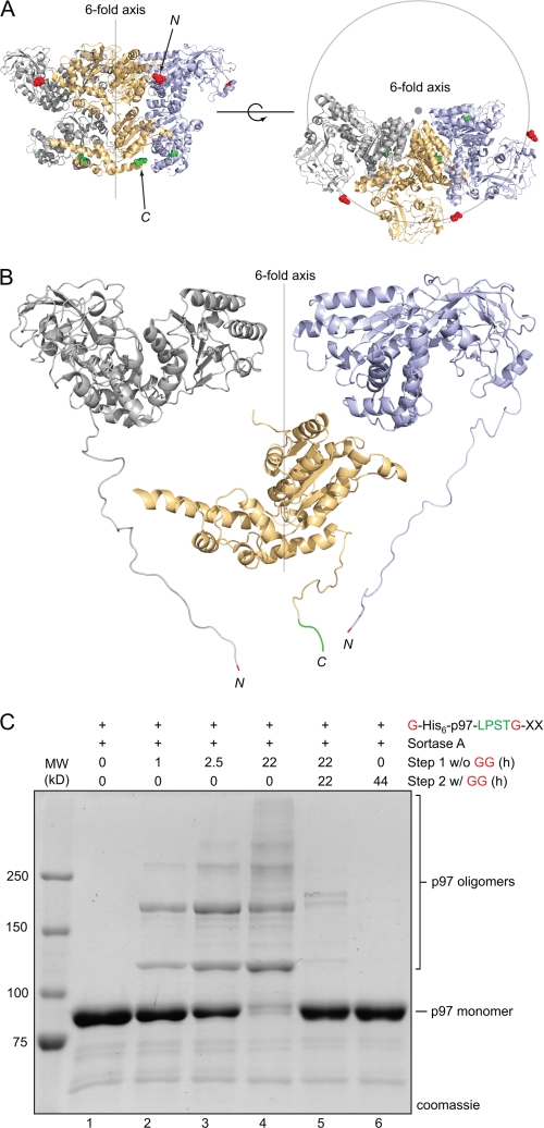 FIGURE 6.