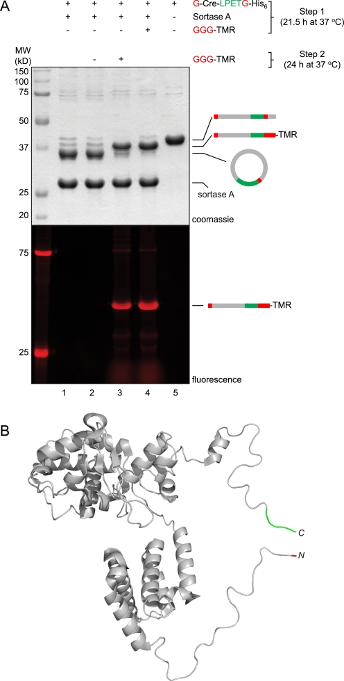 FIGURE 3.