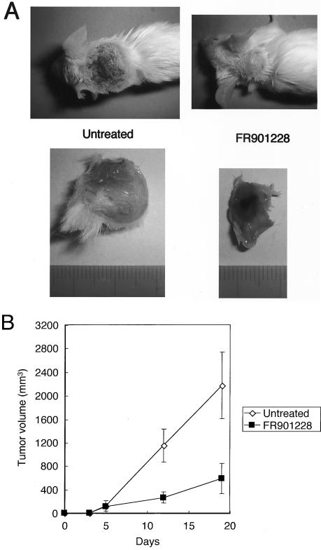 FIG. 8.