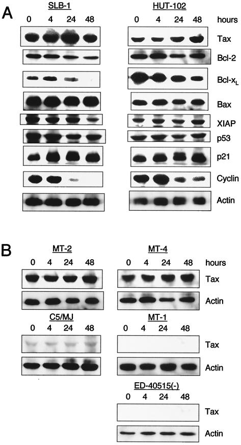 FIG. 4.