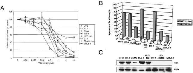 FIG. 1.