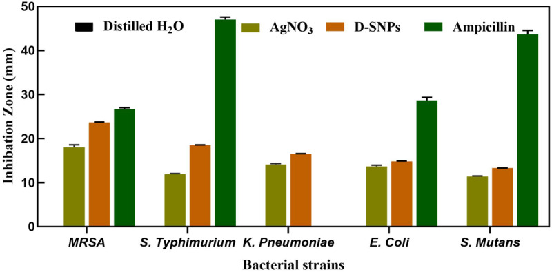 FIGURE 2