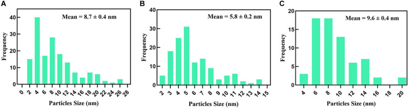 FIGURE 6