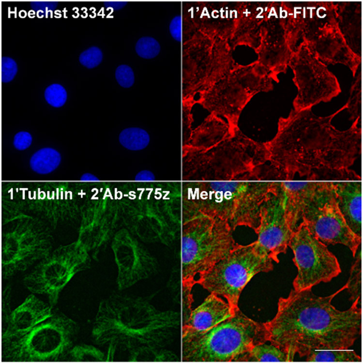 Figure 3.