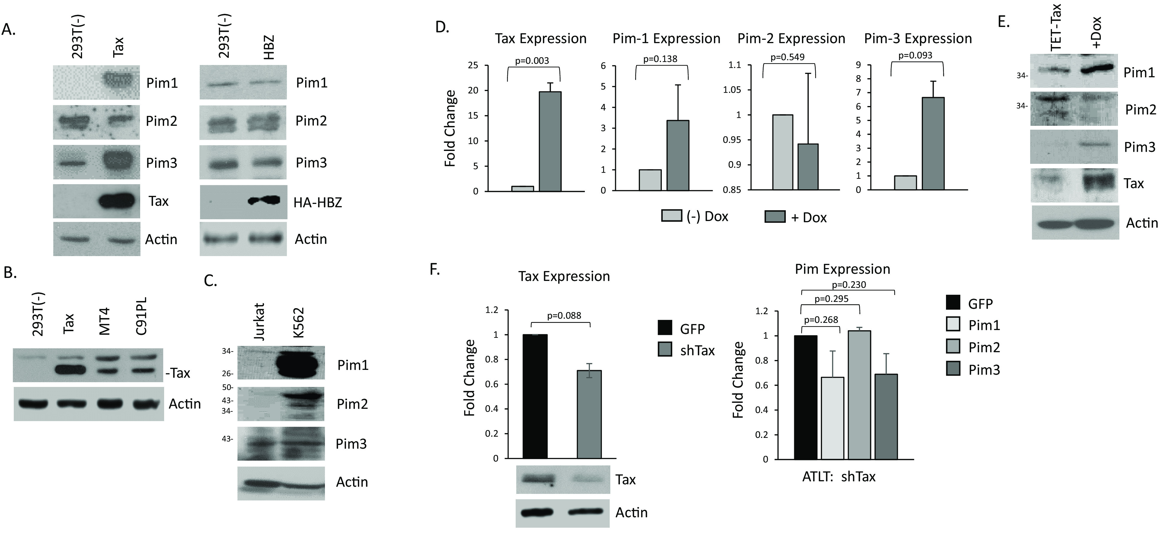 FIG 2