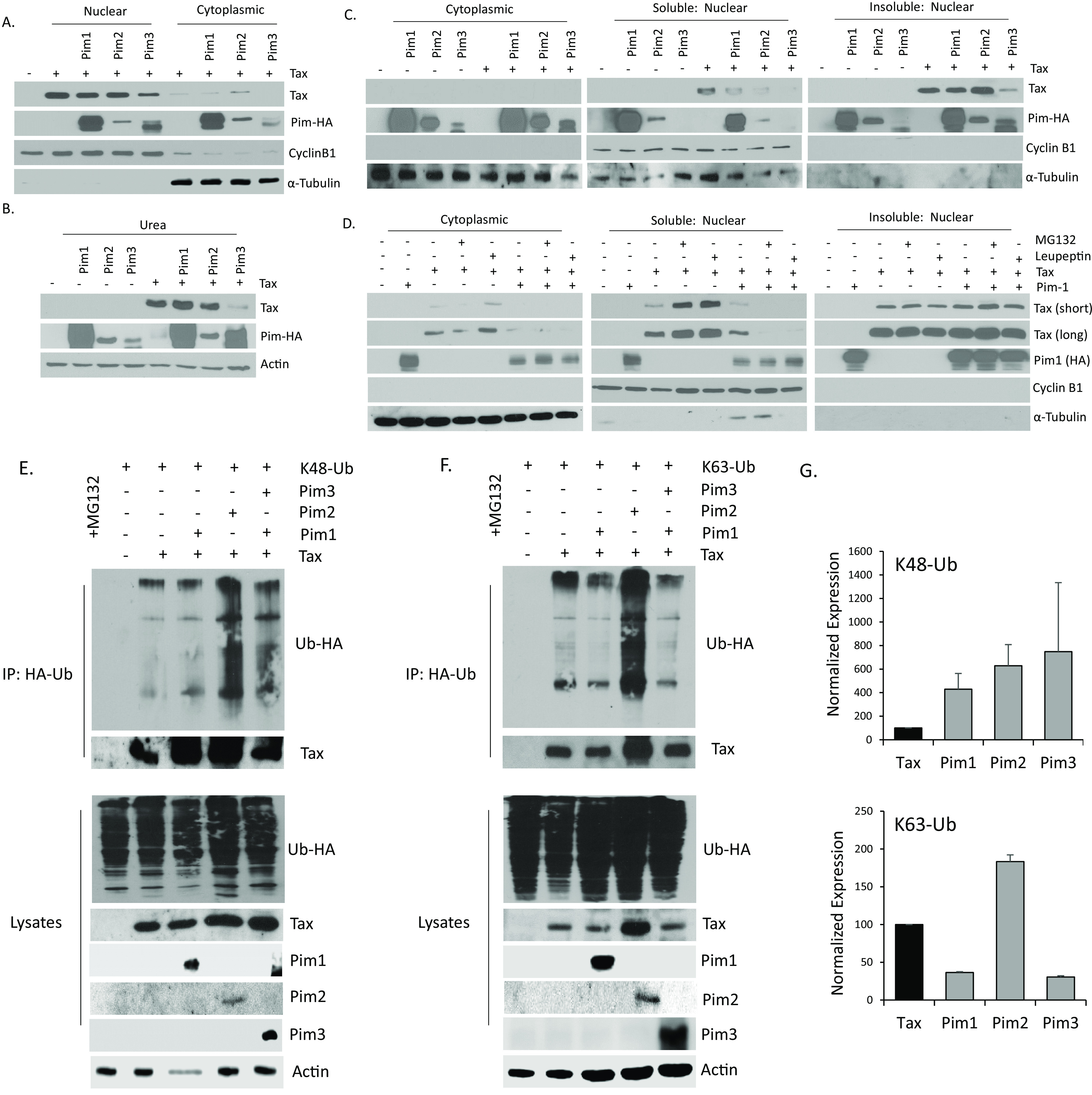 FIG 6