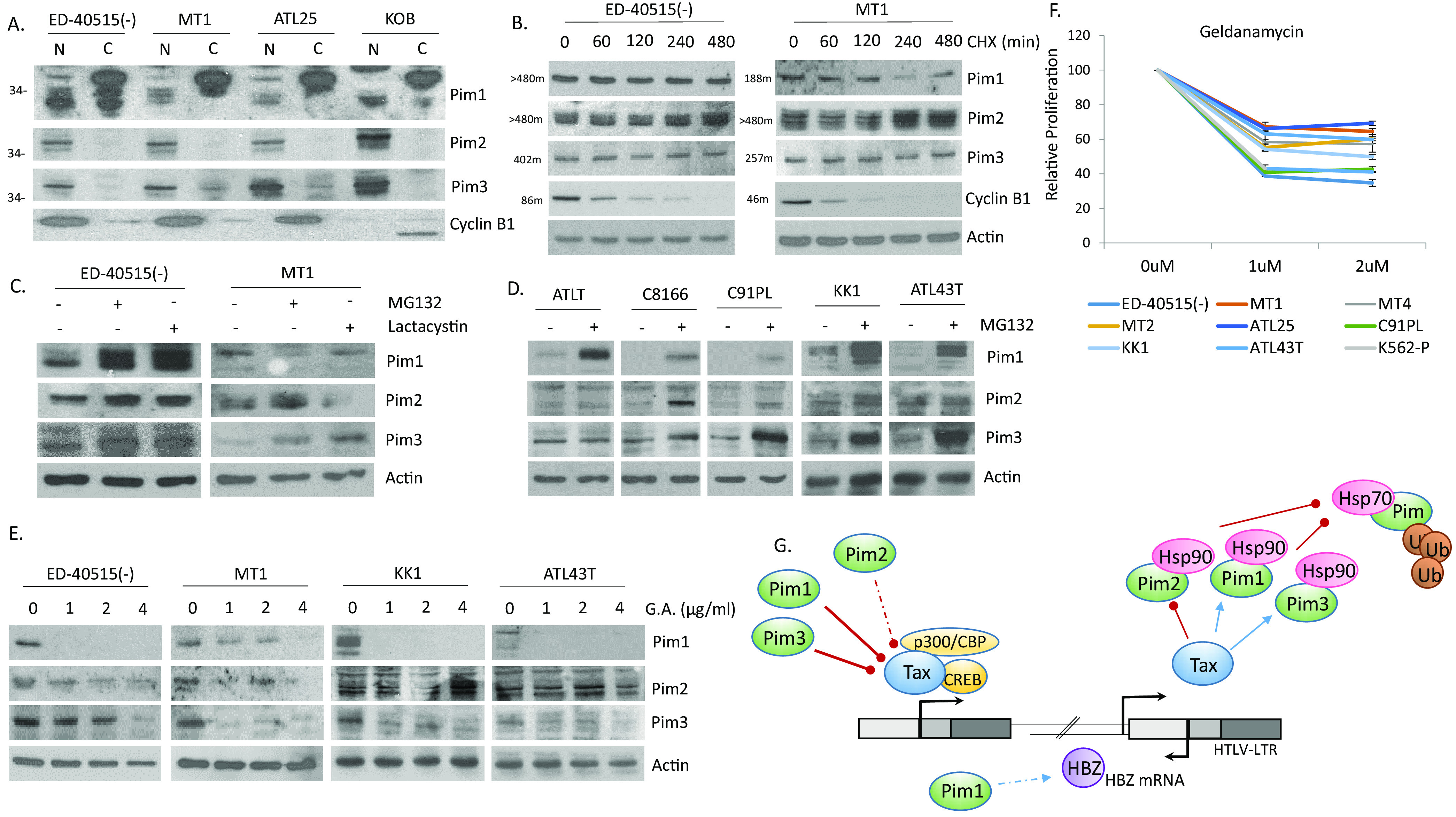 FIG 10