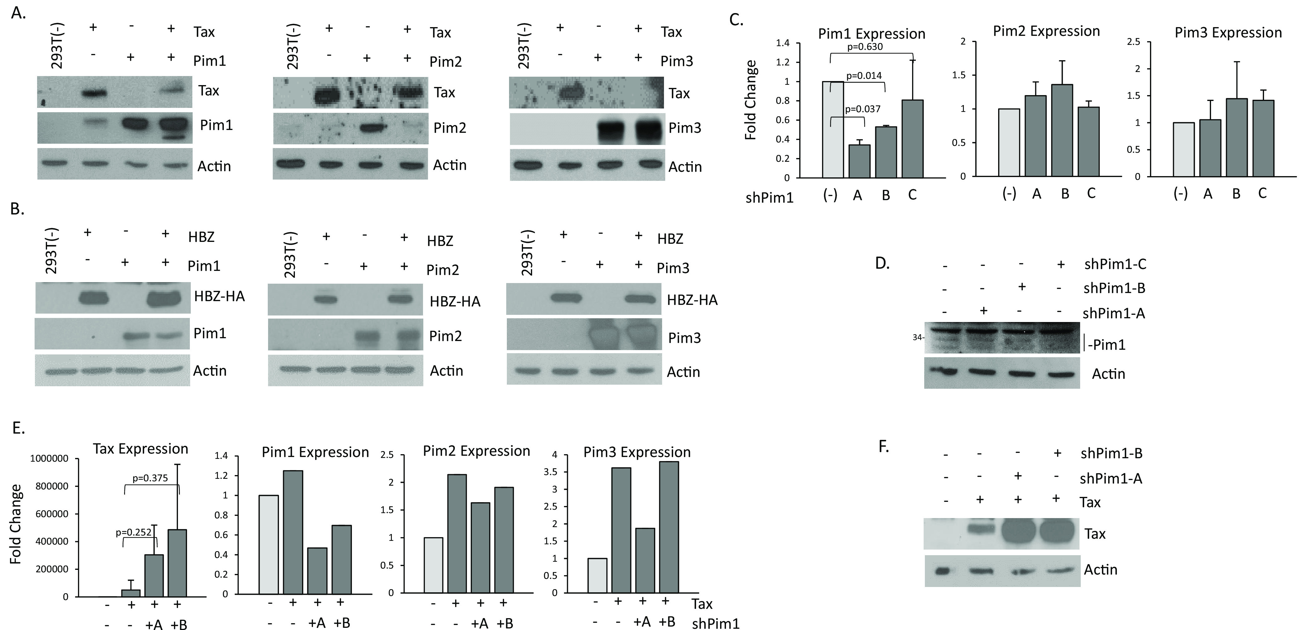 FIG 4