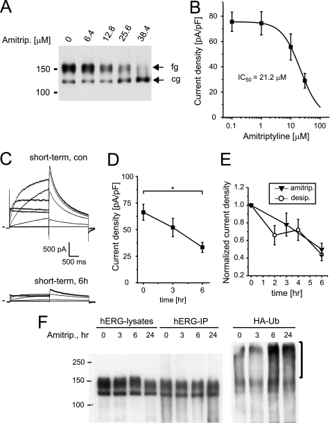 FIGURE 13.