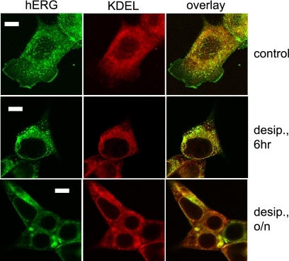 FIGURE 11.