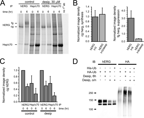 FIGURE 12.