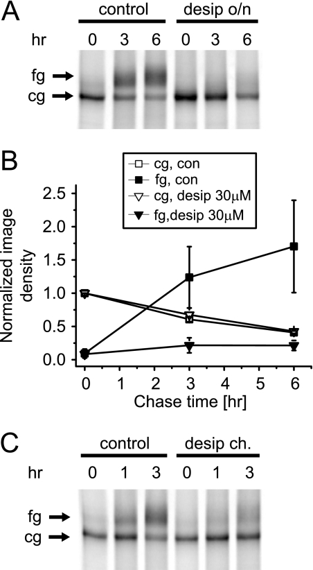 FIGURE 10.