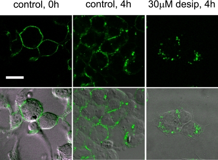 FIGURE 3.