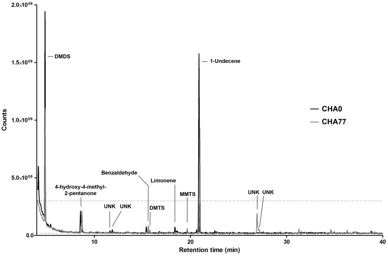 FIGURE 2