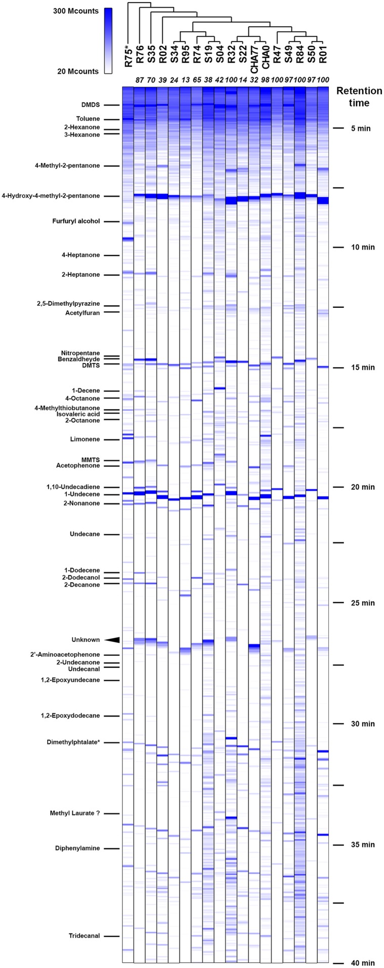 FIGURE 1