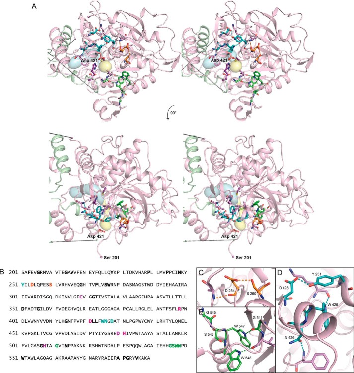 FIGURE 5.