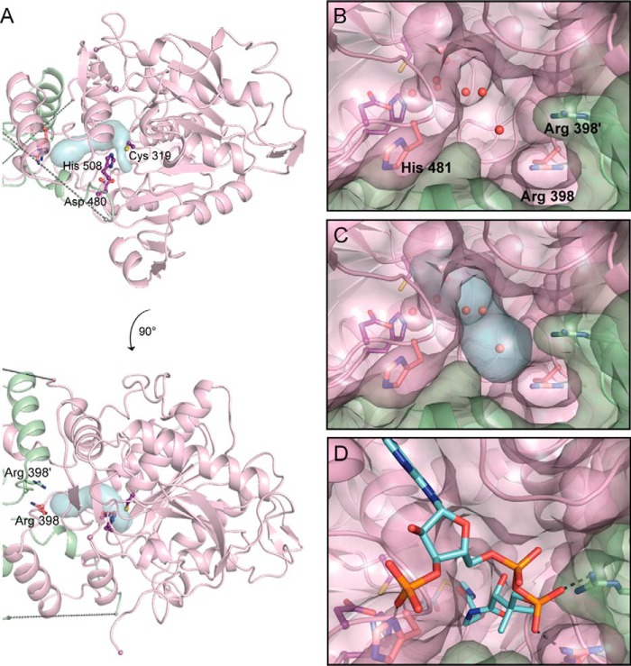 FIGURE 4.