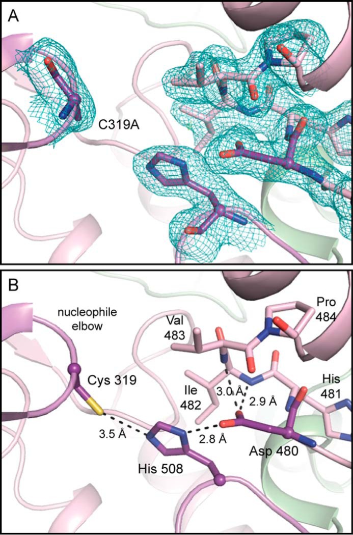 FIGURE 3.