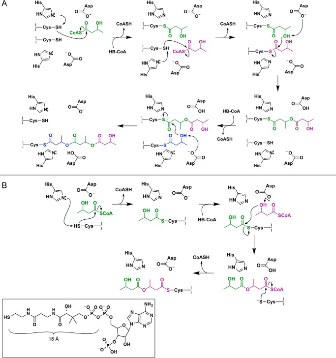 FIGURE 1.