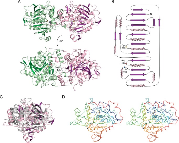 FIGURE 2.