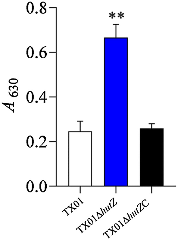 Figure 11