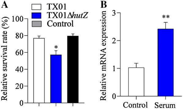 Figure 6