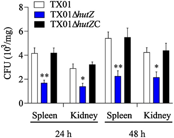 Figure 10