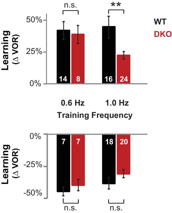 Figure 1—figure supplement 1.