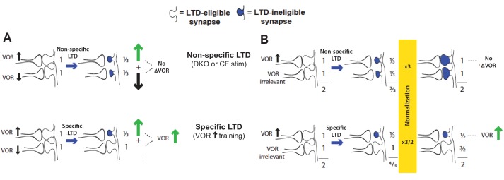 Figure 2—figure supplement 2.