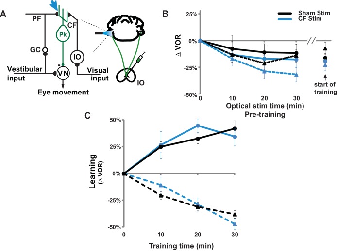 Figure 2—figure supplement 1.