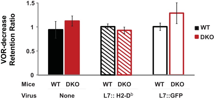 Figure 3—figure supplement 2.