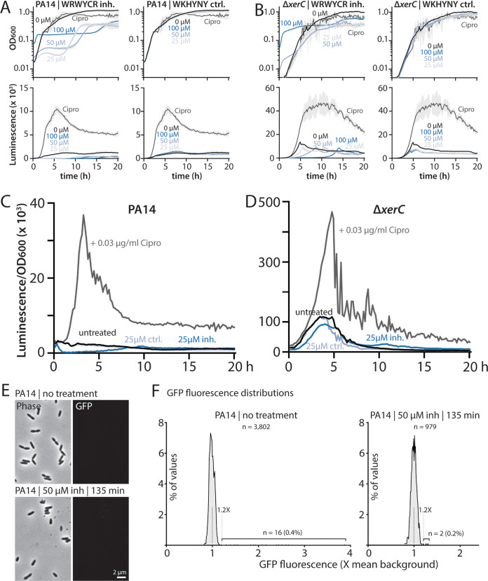 FIG 6