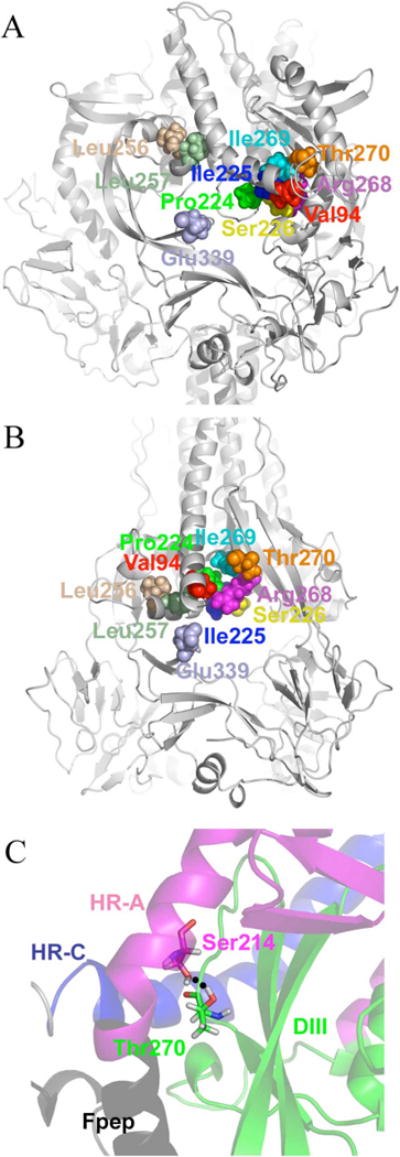 FIGURE 3