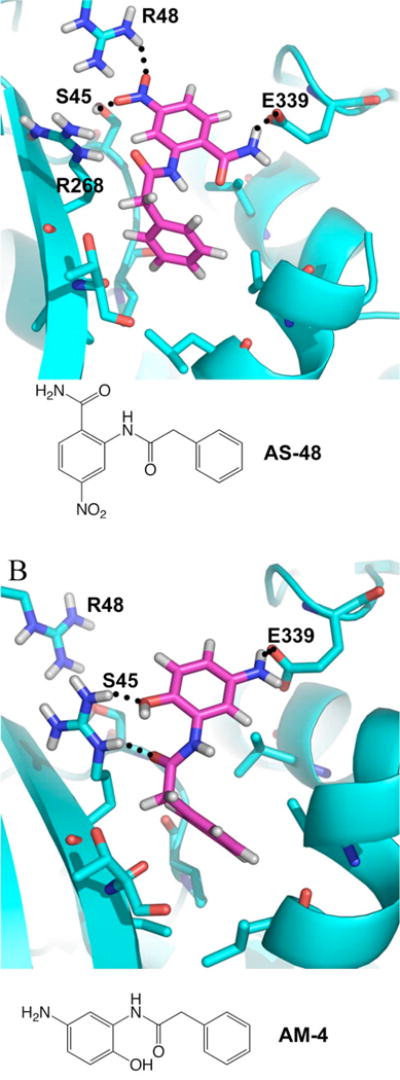 FIGURE 9