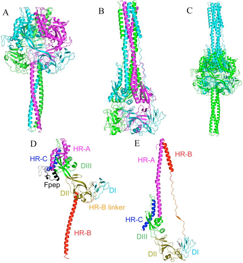 FIGURE 1