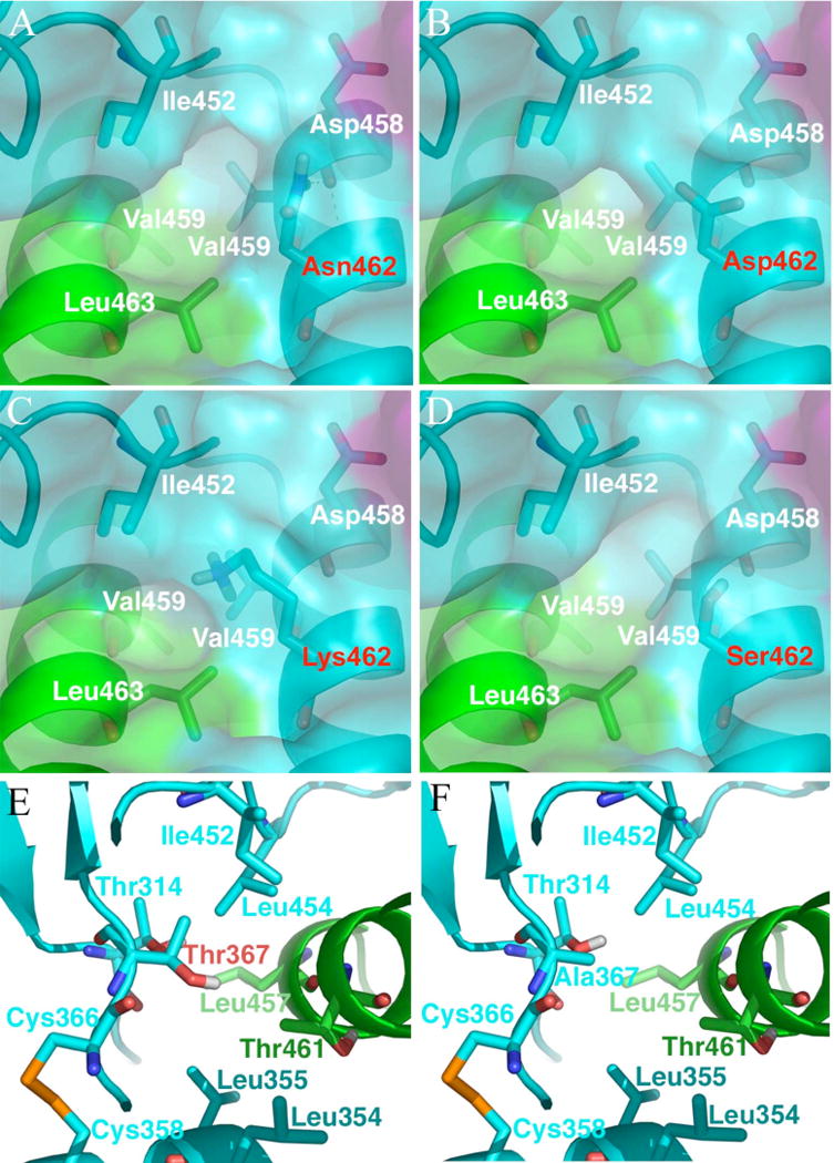 FIGURE 7