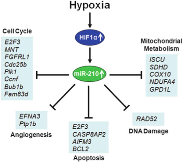 Fig. 10.2