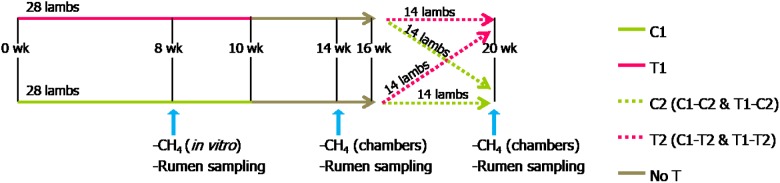 FIGURE 1