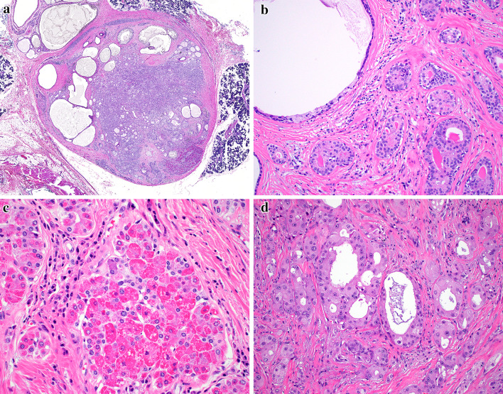 Fig. 1