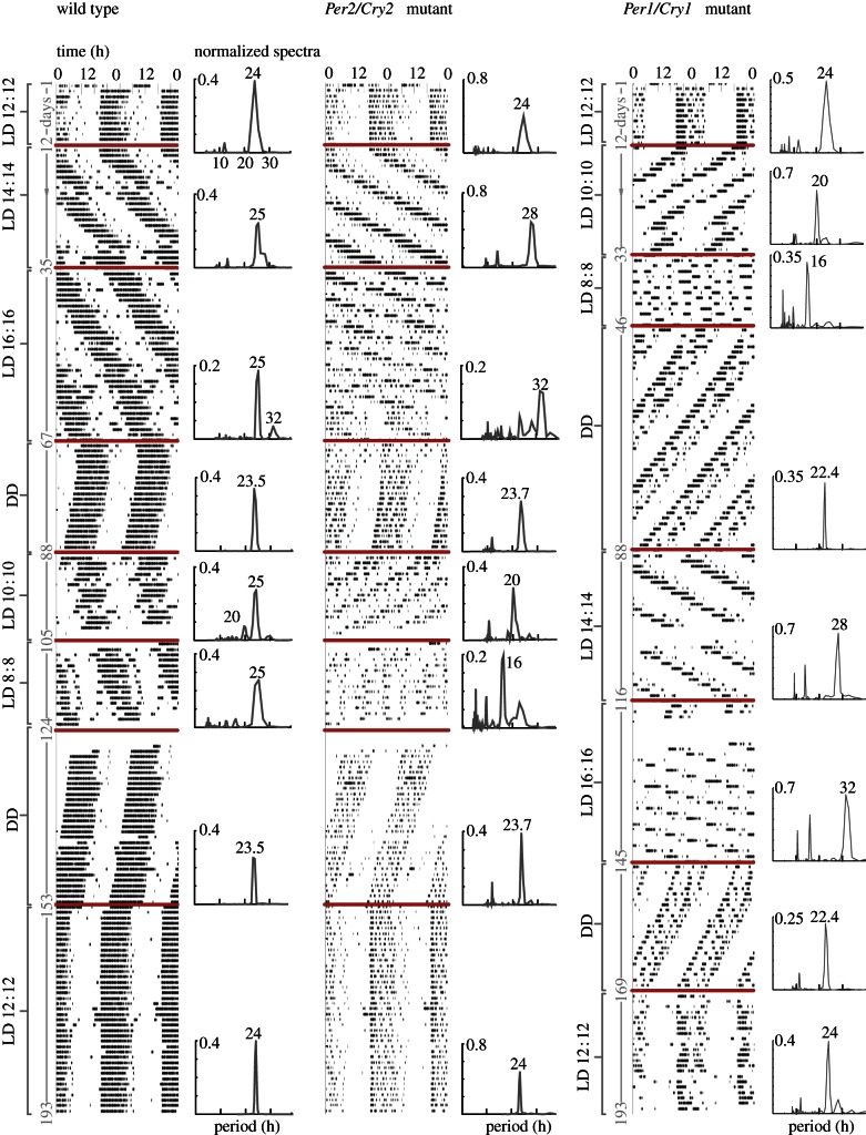 Figure 2.