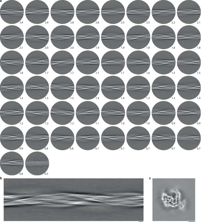 Extended Data Fig. 4