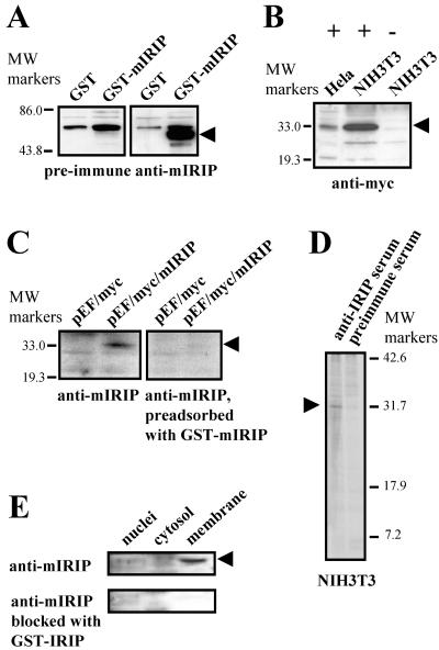 FIG. 7.