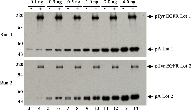 Fig 5