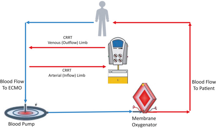 FIGURE 4