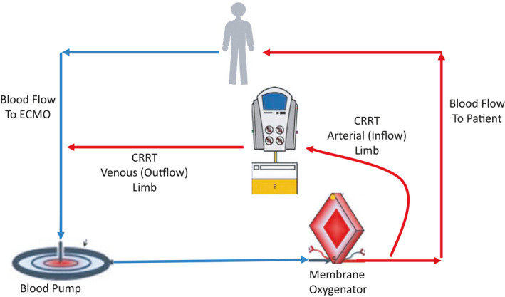 FIGURE 2