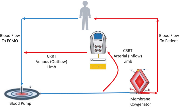 FIGURE 3